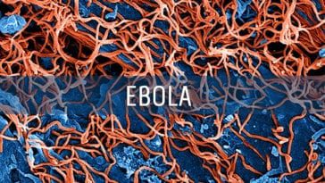 Ebola Virus Medical Countermeasures