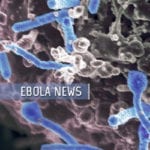 Ebola Virus Disease News