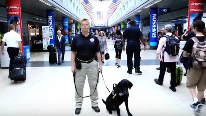 tsa k9