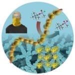 Nanofibers for chemical warfare agent protection