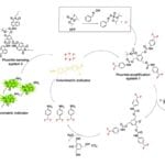 Nerve Agent Detection