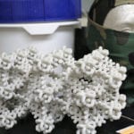 MOFs for Chemical Weapons Neutralization